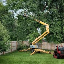 Best Lawn Disease Treatment  in Tigard, OR