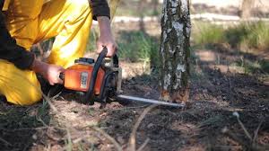 Best Aeration Services  in Tigard, OR